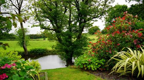 Nice outdoor spaces